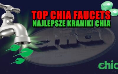 TOP CHIA FAUCETS – NAJLEPSZE KRANIKI CHIA