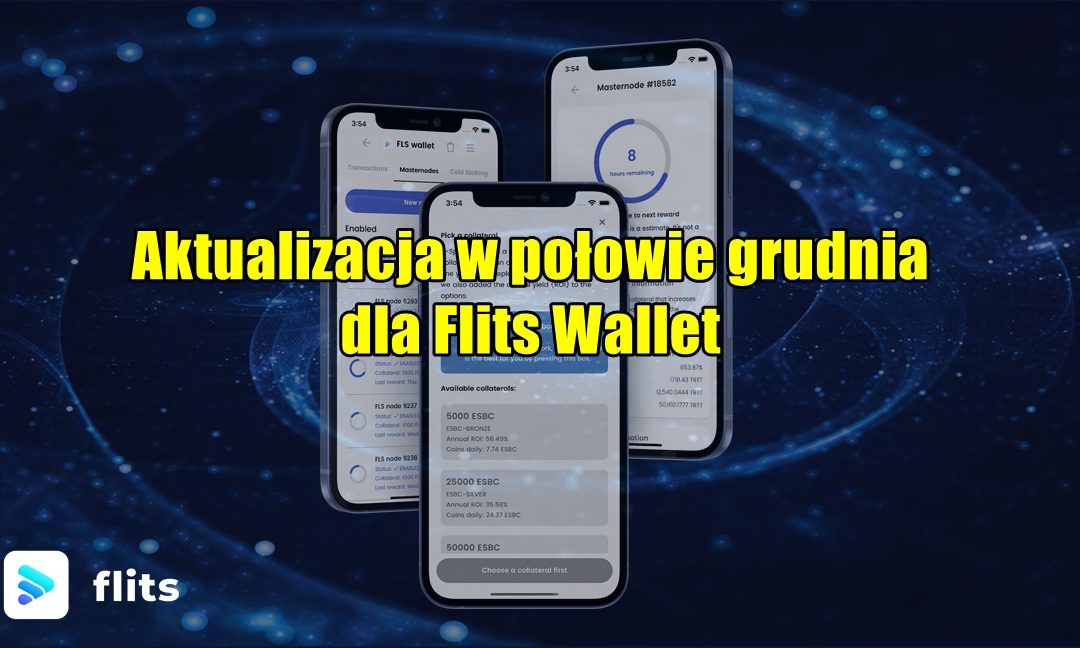 Aktualizacja w połowie grudnia dla Flits Wallet