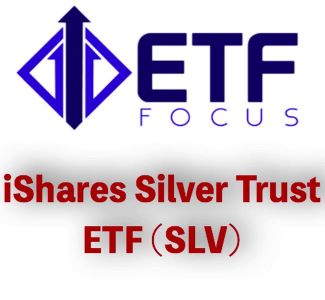 iShares Silver Trust Tokenized Stock (DSLV)