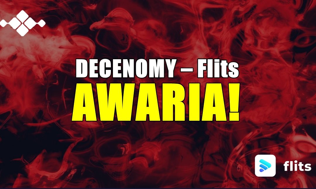 DECENOMY – Flits AWARIA!
