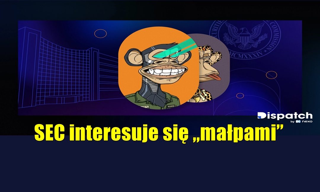 SEC interesuje się „małpami”