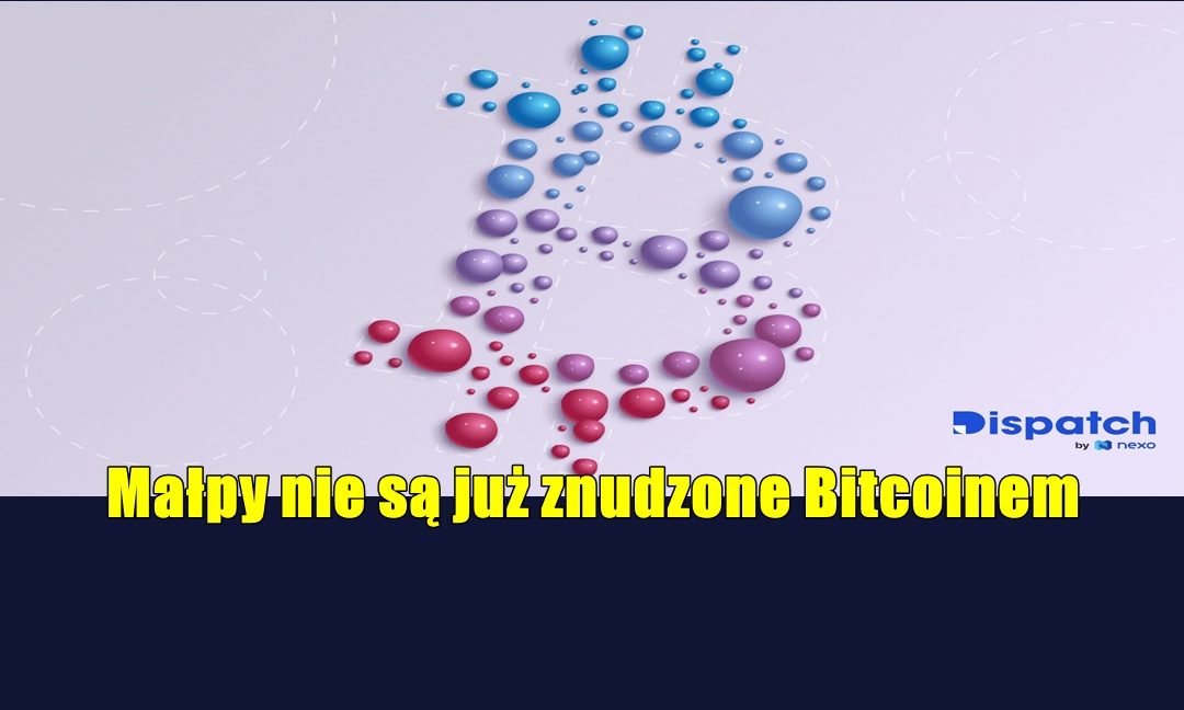 Małpy nie są już znudzone Bitcoinem